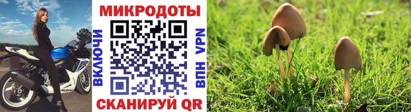 shop Telegram  Мантурово  Галлюциногенные грибы Psilocybine cubensis  закладки 